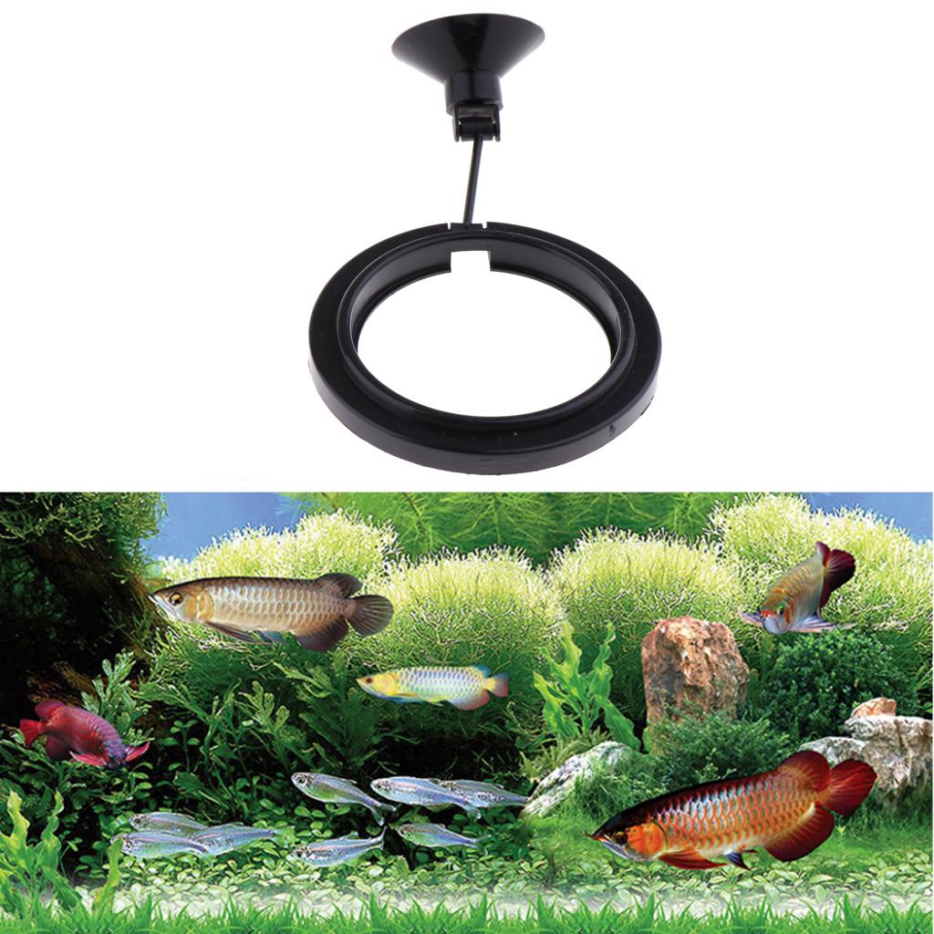 Aquarium Fish Keeping - 水槽用自動給餌器、浮遊式、正方形のプラスチック製餌トレー。水槽のアクセサリーとして、餌を魚の近くに固定して与える。