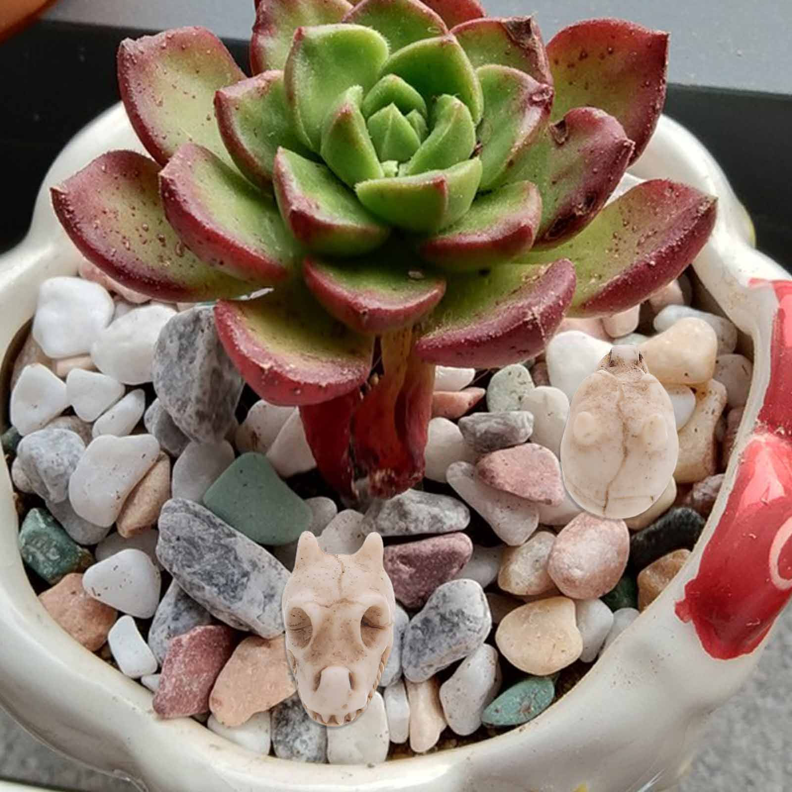 Aquarium Decor - 庭、水槽、テラリウム、芝生、爬虫類用の飼育ケースなどに飾るための、小型のドラゴンの頭蓋骨型レジン製オーナメント20個入り – 耐候性あり