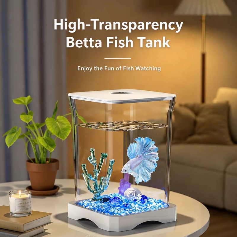 割れにくいガラス製のベタ水槽。ユニークな形状で、底面にLED - Aquarium Fish Keeping のレビューと価格