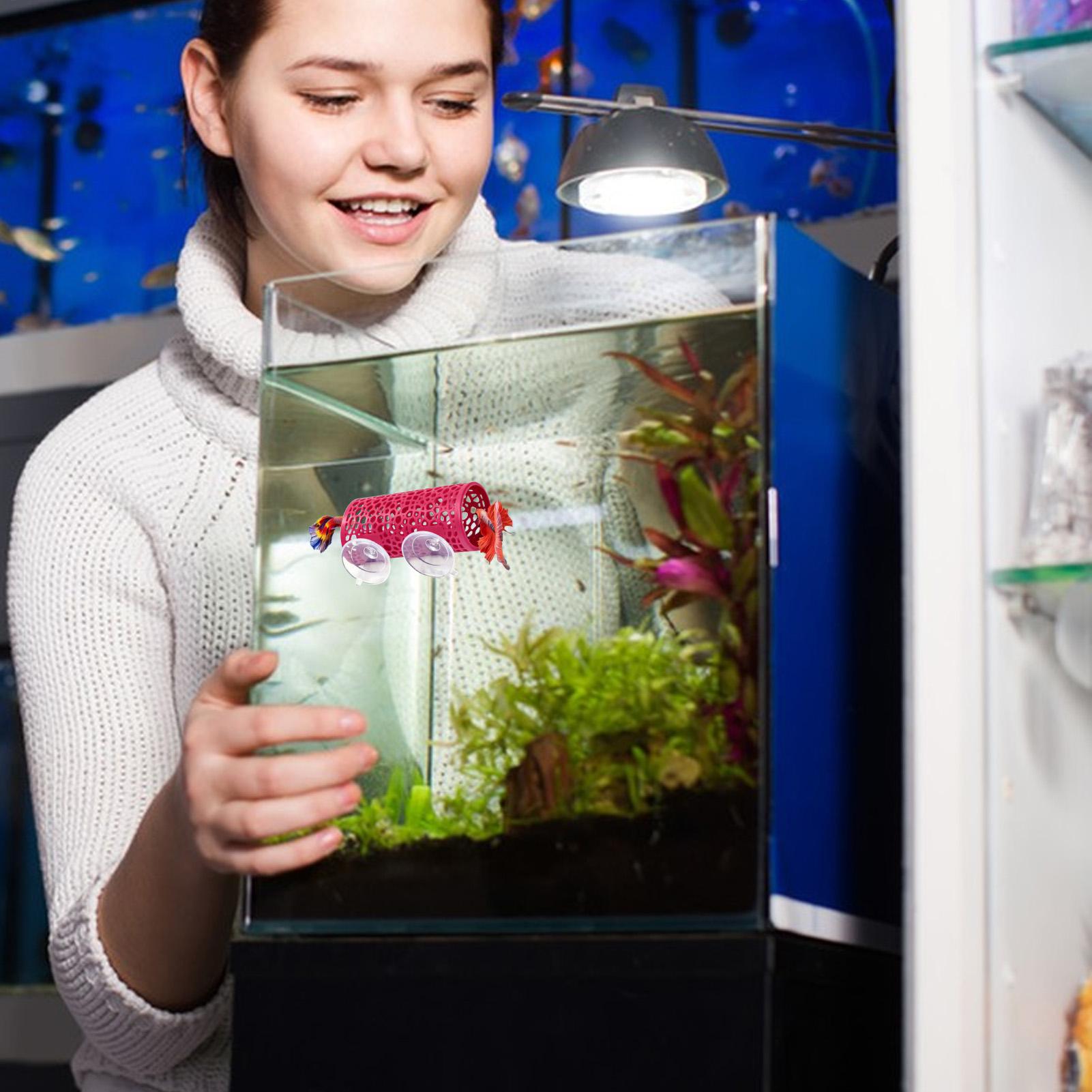 ベタの生息地、休憩用シェルター、装飾用魚トンネルおもちゃ、水 - Aquarium Fish Betta のレビューと価格