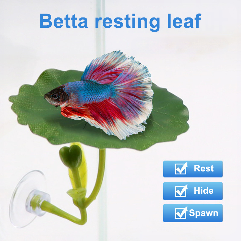 1個入り、ベタ魚用リーフハンモック、緑色の休憩用ベッド、吸盤 - Betta Fish Tank のレビューと価格