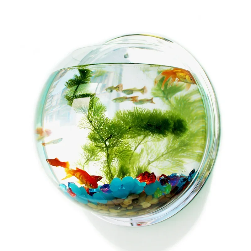 ピンジャール アクリル製 魚鉢 壁掛け水槽 水生ペット用品  - Betta Fish Tank のレビューと価格