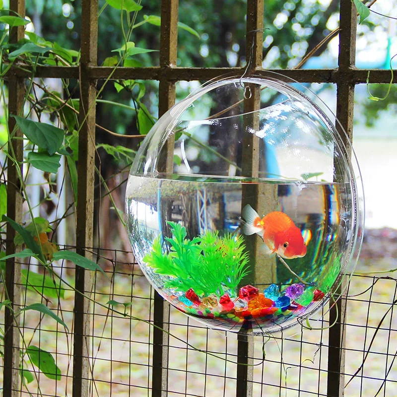 ピンジャール アクリル製 魚鉢 壁掛け水槽 水生ペット用品  - Betta Fish Tank のレビューと価格