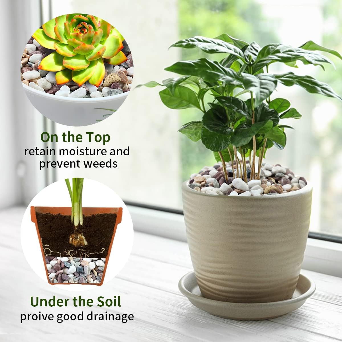 水槽、観葉植物、盆栽、庭、DIYの造園装飾に使える、様々な色 - Fish Tank Gravel のレビューと価格