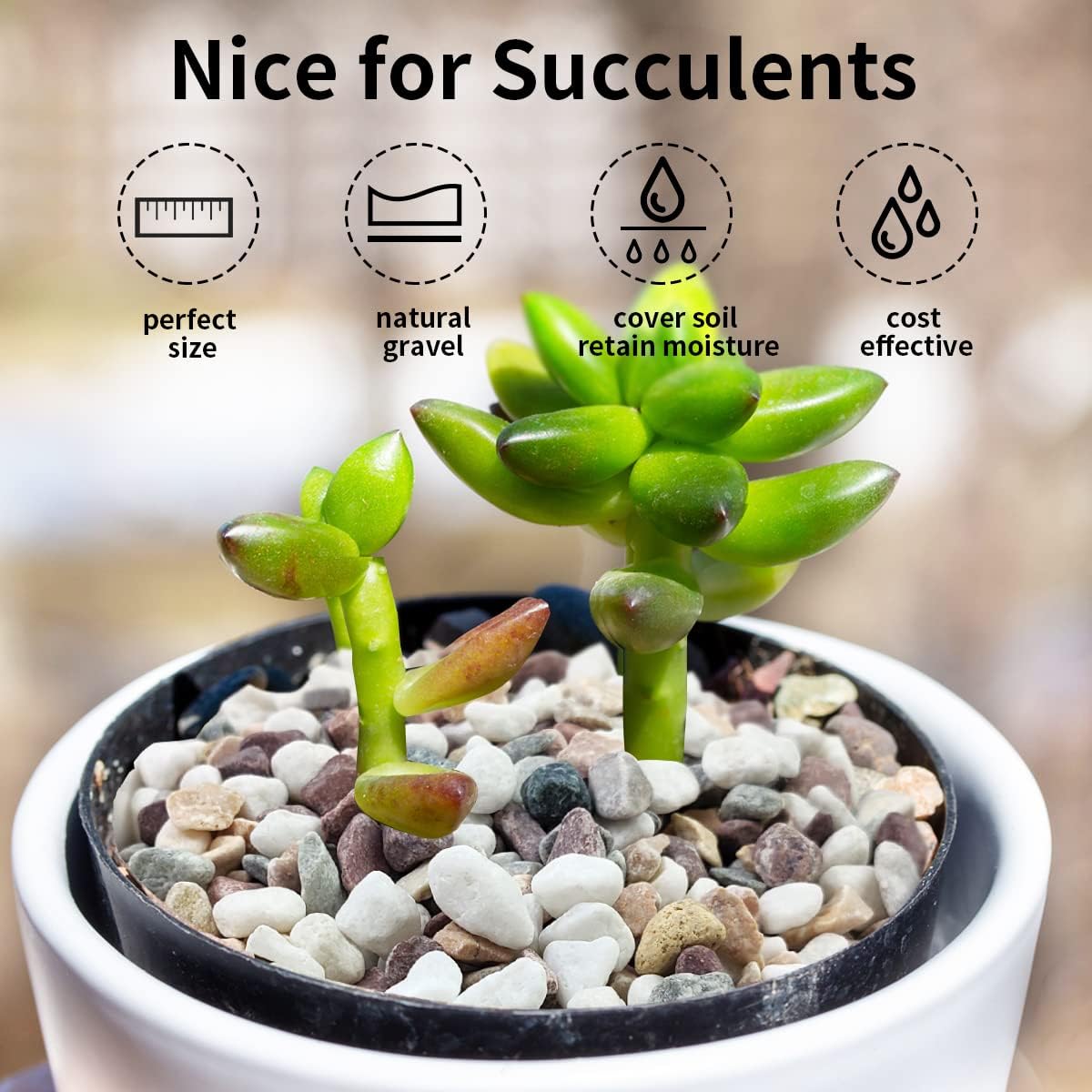 水槽、観葉植物、盆栽、庭、DIYの造園装飾に使える、様々な色 - Fish Tank Gravel のレビューと価格