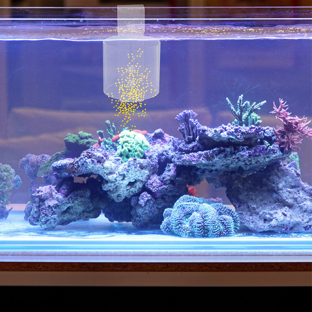 ベタ、エビ、カメなどの水槽用、高さ調節可能なアクリル製餌入れ - Aquarium Fish Keeping のレビューと価格