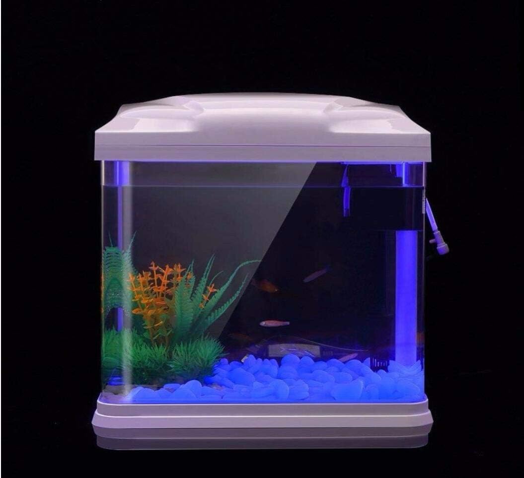 水槽岩グローブルー小石庭用水槽水族館植木鉢盆栽歩道私道 - Aquarium Plants のレビューと価格
