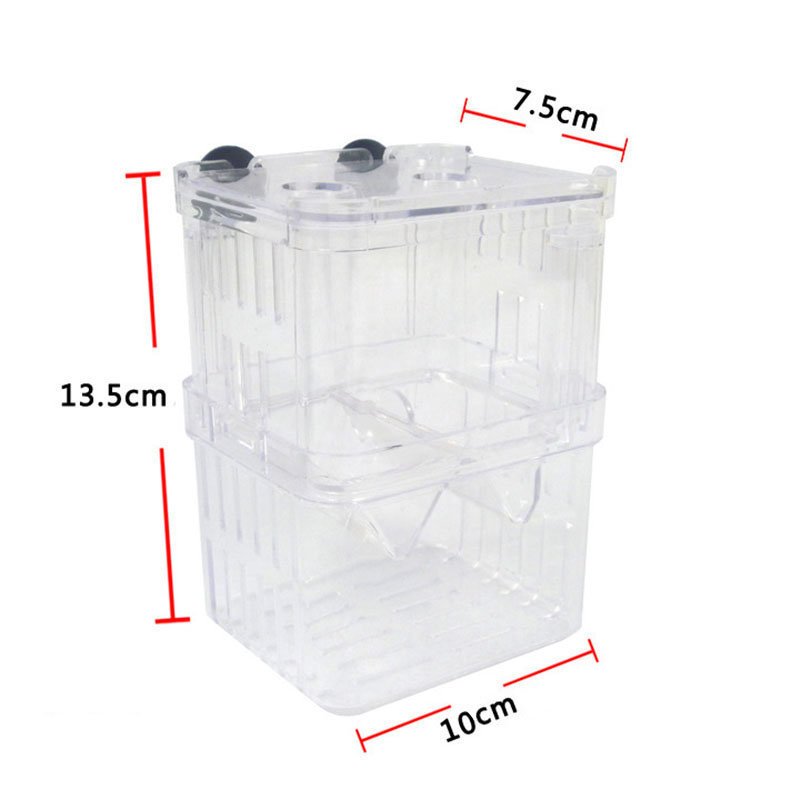 孔雀魚繁殖隔離ボックス水槽水族館ブリーダーボックス二重穴ベタ - Betta Fish Tank のレビューと価格