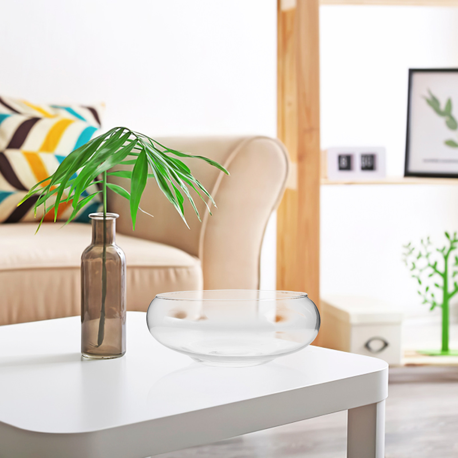 多肉植物、金銭草、スイセンなどを育てるための、透明なガラス製 - Aquarium Plants のレビューと価格